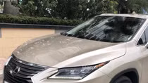 Tìm chủ sở hữu xe ô tô LEXUS RX350