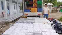 Đang tạm hoãn chấp hành án phạt tù vẫn đi chở thuốc lá lậu