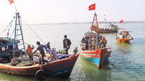 Đấu tranh với nạn giã cào trên biển
