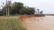 Khẩn trương khắc phục tình trạng "hà bá" ngoạm bờ sông Quảng Huế