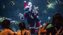 Những cách phát quà độc lạ của ông già Noel khắp thế giới