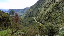 Cuộc săn lùng trong đêm trừ tịch