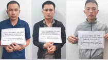 "Đổi màu" biển số để vận chuyển hổ nặng 2 tạ từ Nghệ An lên Lai Châu