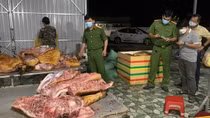 Hơn 1 tấn thịt heo không nguồn gốc trong cơ sở dịch vụ tiệc cưới