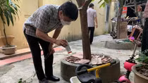 Hà Nội bước vào đỉnh dịch sốt xuất huyết, thêm 83 ổ mới
