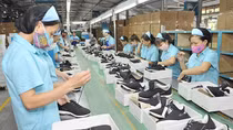 Xuất khẩu tiếp tục được kỳ vọng là điểm sáng của nền kinh tế