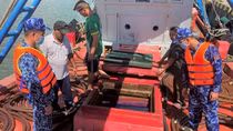 Bắt giữ nhiều vụ vận chuyển dầu DO trái phép
