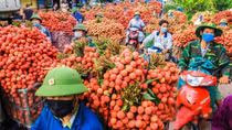 Giải pháp nào để hàng Việt đứng vững tại thị trường nội địa?