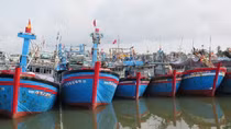 Để những con tàu được về với biển