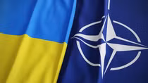 Chín thành viên NATO tuyên bố ủng hộ Ukraine gia nhập khối