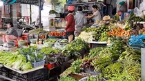 Kiểm soát chất lượng, nguồn gốc sản phẩm tại các chợ đầu mối
