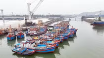 Thuyền đánh cá “chen” tàu hàng ở cảng Cửa Lò