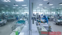 Hai biến thể phụ COVID-19 có nguy cơ xâm nhập, cảnh giác đợt dịch mới