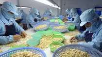 Những lưu ý để tránh rủi ro khi xuất khẩu vào thị trường châu Phi