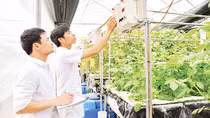 Cần cơ chế đặc biệt trong thu hút và trọng dụng nhân tài