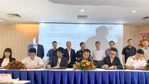 Chỉ có 7% tờ khai hải quan của doanh nghiệp thông qua đại lý