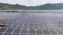 Nhiều bất cập tại các dự án năng lượng tái tạo ở Phú Yên