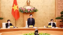 Không vì Tết mà nể nang xử phạt vi phạm giao thông