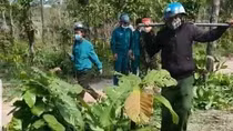 Tổng cục Lâm nghiệp vào cuộc vụ nhân viên bảo vệ rừng bị hành hung