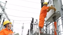 EVN đề nghị được chia sẻ thông tin dữ liệu về đăng ký doanh nghiệp qua Cổng Dịch vụ công Quốc gia