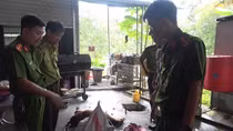 Chủ nhà hàng gom rùa hoang dã để “chiều” khách nhậu