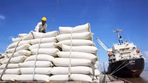Bộ Ngoại giao nói gì trước tin đồn Việt Nam sẽ tăng giá gạo xuất khẩu?