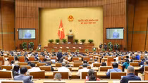 100% tiền thu từ đấu giá biển số sẽ nộp ngân sách Nhà nước