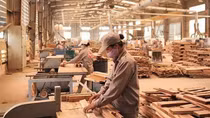 Doanh nghiệp ngành gỗ đối mặt với nhiều sức ép