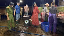 Đình chỉ hoạt động 4 cơ sở giết mổ tại Quảng Nam