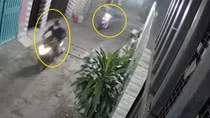 Mở cửa hóng gió, nhóm sinh viên bị "người dơi" hỏi thăm