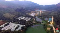 Nhiều trang trại chăn nuôi ở Hà Tĩnh gây ô nhiễm nghiêm trọng