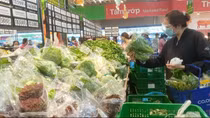 TP Hồ Chí Minh vào cuộc kiểm tra rau đạt chuẩn VietGAP dởm