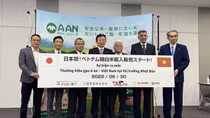 Gạo Việt Nam lần đầu tiên được bày bán tại Nhật Bản