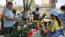 Giá cả "dịu mát", thị trường mâm cỗ sôi động trước Rằm tháng bảy