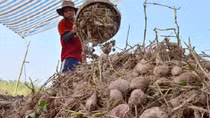 Thực phẩm xuất khẩu sang Na Uy cần chú ý kiểm tra về an toàn thực phẩm