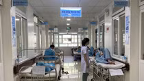 Đà Nẵng khẩn trương xử lý các ổ dịch