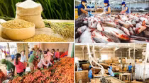 Xuất khẩu nông, lâm, thủy sản vượt kỷ lục