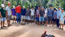 Bắt quả tang 17 đối tượng tham gia đá gà ăn thua bằng tiền