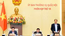 Giám sát, ngăn chặn tiền chất ma túy, chất ma túy trong thực phẩm