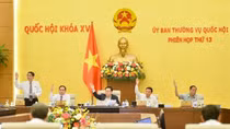 Chuyển hơn 4.400 ha rừng, đất rừng, đất trồng lúa xây dựng cao tốc Bắc - Nam phía Đông