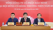 Doanh nghiệp Top đầu của thị trường bảo hiểm Việt Nam