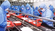 Doanh nghiệp xuất khẩu đang “gánh” phí chồng phí