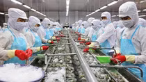 Xuất khẩu thuỷ sản sang thị trường Nga tăng mạnh