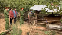 Hiệu quả từ mô hình “5+1"