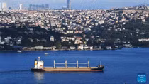 Nhìn lại 1 tháng thực hiện Thỏa thuận Istanbul