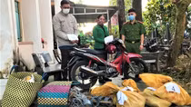 16 con mèo "sập bẫy trộm"