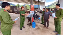 Quảng Nam hoàn thành vượt chỉ tiêu tổng rà soát, kiểm tra an toàn PCCC và CNCH