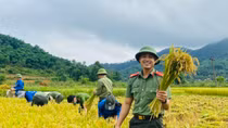 Công an giúp dân gặt lúa chạy mưa lốc