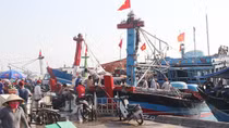 Ngư dân bám biển trong cơn “bão giá” nhiên liệu