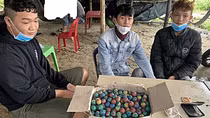 Công an Quảng Nam ngăn chặn có hiệu quả hành vi mua bán, vận chuyển, tàng trữ pháo trái phép